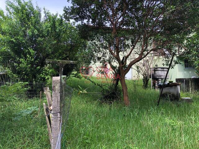 Terreno para Venda em Florianópolis - 5