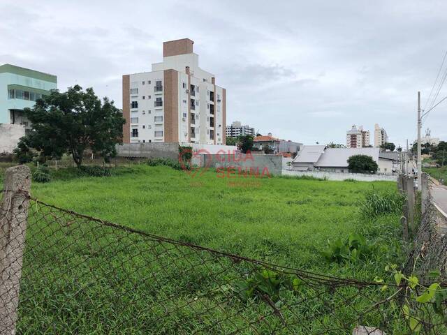 Terreno para Venda em Florianópolis - 5