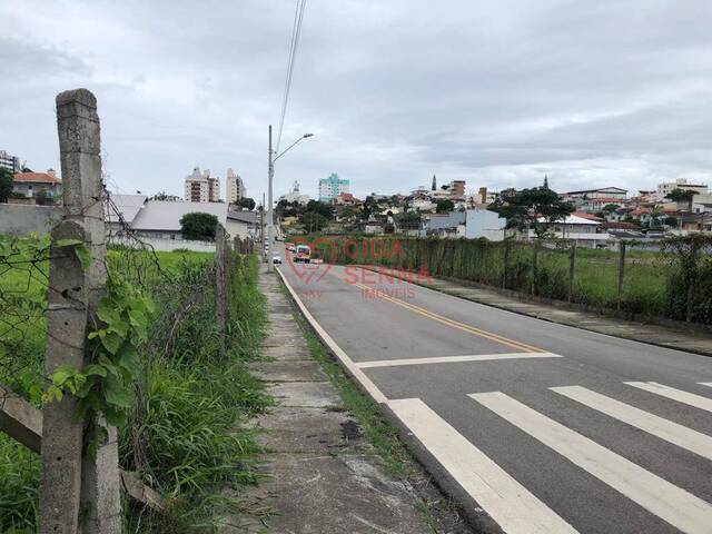 #1028 - Terreno para Venda em Florianópolis - SC - 3