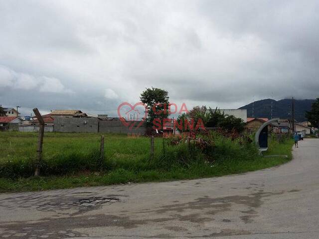 Terreno para Venda em Biguaçu - 4